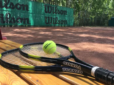 Как сделать теннисный корт на даче | Новости загородной недвижимости Москвы  и области на Cottage.ru