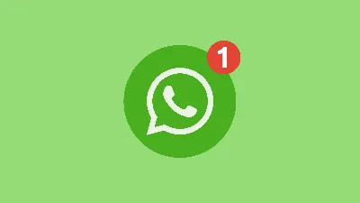 Как установить бета-версию WhatsApp на компьютер | AppleInsider.ru