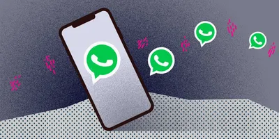 10 полезных советов для каждого пользователя WhatsApp - Лайфхакер