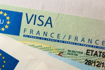 Какие требования выдвигают к фото на французскую визу