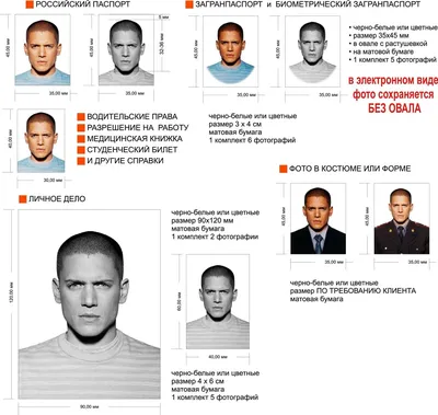 Фото на загранпаспорт новый и старый 2023: требования и образцы