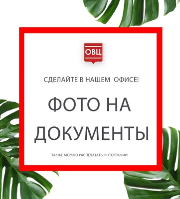 В Самаре выстроились очереди загранпаспортами - 16 июня 2023 - 63.ru