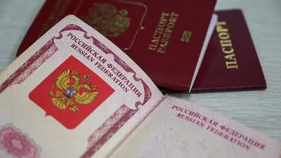 Кровь и следы борьбы: петербуржец прикрепил к заявлению на загранпаспорт  свое фото на фоне убитых детей