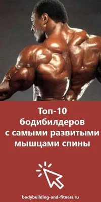 Бодибилдинг и Фитнес: пауэрлифтинг, физические упражнения для мышц, скачать  бодибилдинг видео фитнес упражнения, спортивная тренировка мышц, как  накачать мышцы, бодибилдинг фото культуризм для начинающих, спорт  пауэрлифтинг программы тренировок ...