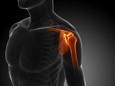 Плечевой сустав МРТ: нормальная анатомия | e-Anatomy