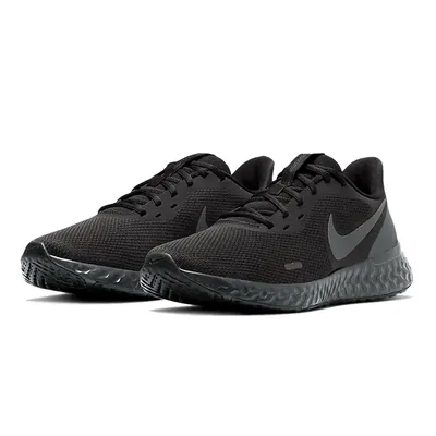 Мужские беговые кроссовки Nike BQ3204-001 Revolution 5 - купить
