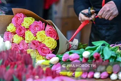 Красиво и санкционированно: в Витебске к 8 Марта по-новому заторгуют  цветами - 28.02.2023, Sputnik Беларусь