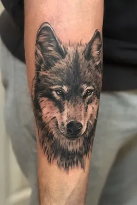 Тату волк, wolf tattoo