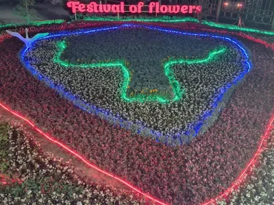 Международный фестиваль цветов украсит Наманган - фото