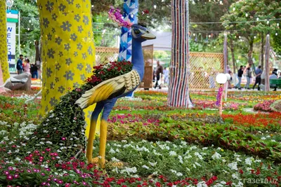 Фото: Международный фестиваль цветов в Намангане – Новости Узбекистана –  Газета.uz