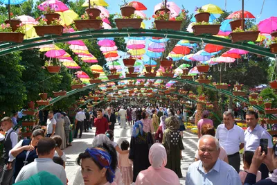 В Узбекистане проходит 59-й фестиваль Namangan Flowers