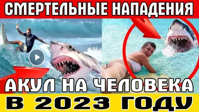 СМЕРТЕЛЬНЫЕ АТАКИ АКУЛ НА ЧЕЛОВЕКА В 2023 ГОДУ НАПАДЕНИЕ АКУЛЫ НА  РОССИЯНИНА В ЕГИПТЕ - YouTube