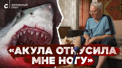 Может ли акула, унюхав менструальную кровь, приплыть и слопать женщину? —  Нож