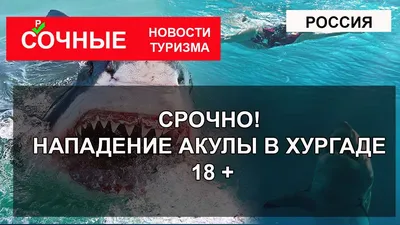 На пляже в Хургаде жертвами акул стали две женщины - туристки из Австрии и  Румынии - Delfi RU