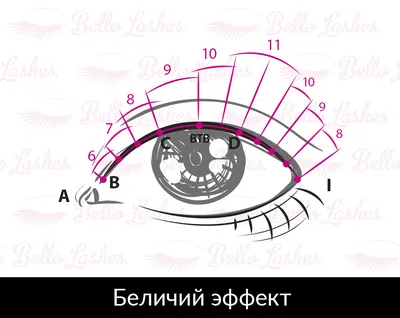 Эффекты наращивания ресниц – виды и схемы