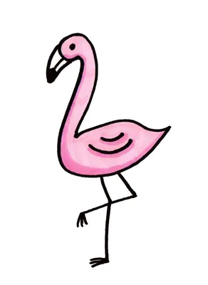 Нарисованного фламинго фото