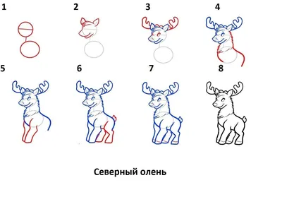 Олени нарисованные рукой иллюстрация вектора. иллюстрации насчитывающей  конструкция - 64556275