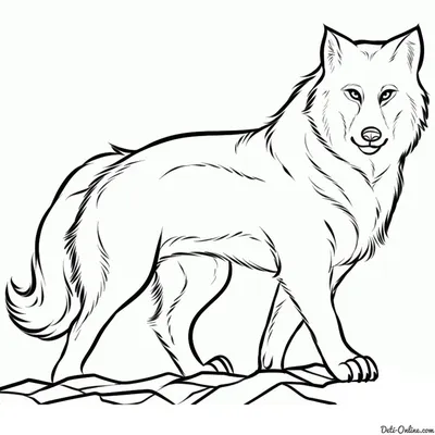 КАК НАРИСОВАТЬ ВОЛКА. How to draw a wolf — Видео | ВКонтакте