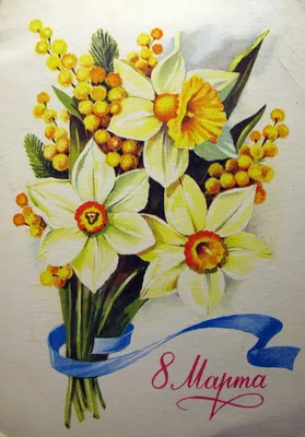 Нарциссы 8 марта открытка - 58 фото