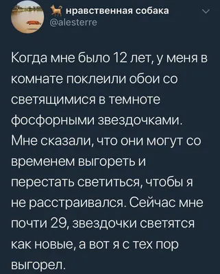 Пин от пользователя Мария Борисенко на доске Для доброго и доброй | Смешные  фото собак, Фото собак, Самые смешные картинки