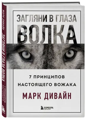 Настоящие волки и собаки похожие на волка (влчаки) для съемок и праздников  - Массовки.net