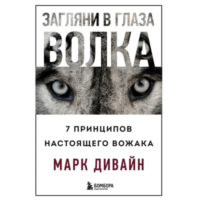 Настоящий серый волк бежит на фоне леса Близко к волку в природной среде  Закрыть портрет волка-волка в Стоковое Изображение - изображение  насчитывающей пуща, мексика: 159719731