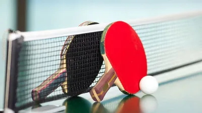Официальные правила игры в настольный теннис | Sport Pulse