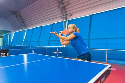 Настольный теннис под Минском - Места, где можно поиграть в Настольный  теннис