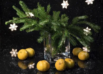 Обои на монитор | Красивые | ветки ёлки, лимоны, снежинки, зимний  натюрморт, Наталья Бочкарева