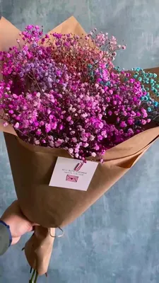 Розовый фламинго, магазин цветов, Дзержинск, Тихая ул., 2 — Яндекс Карты