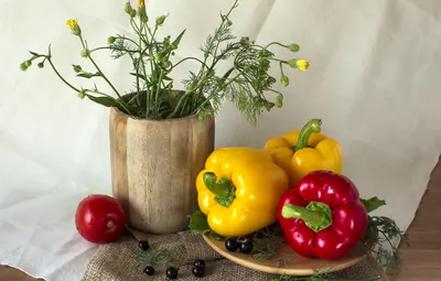 Обои еда, натюрморт, овощи, перец болгарский, натюрморт на сельскую тему  картинки на рабочий стол, раздел еда - скачать