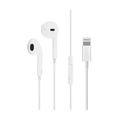 Наушники Apple EarPods с Разъёмом Lightning для Iphone Оригинал, EarPods на  Лайтнинг для Айфона и Айпад — Купить на BIGL.UA ᐉ Удобная Доставка  (1848023017)