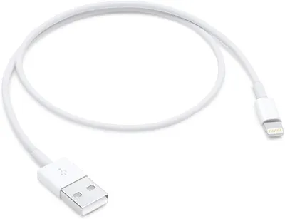 Amazon.com: Apple Lightning to USB Cable (0.5 m) : Electronics