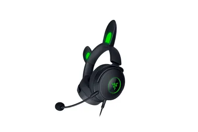 Наушники Razer Kraken Green (RZ04-02830200-R3M1) цены в Киеве и Украине -  купить в магазине Brain: компьютеры и гаджеты