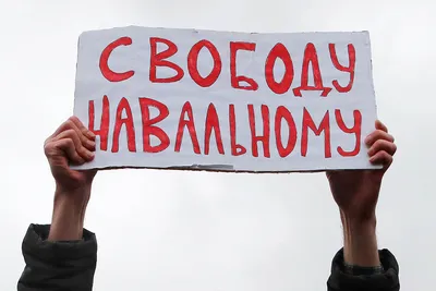 Российские депутаты потребовали от властей выпустить Навального из ШИЗО  Спектр