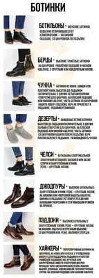 Виды женской обуви названия с инфографикой N-SHOES