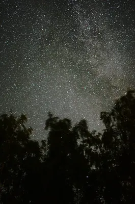 Звездного неба картинка #475211 - Мои первые фото звёздного неба - скачать