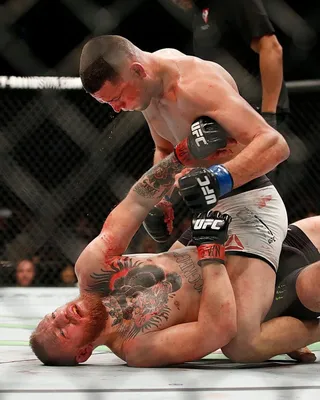 Возвращение убийцы Mac: Нейт Диас завершил перерыв на UFC 241, Ник Диас HD обои для телефона | Pxfuel