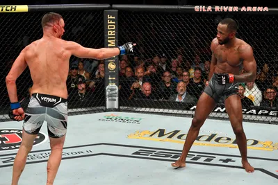 UFC 263: Нейт Диас — легенда против Леона Эдвардса: отказывается от удара кулаком, аплодирует, когда ему кладут на задницу и наносят Стоктонскую пощечину | talkSPORT