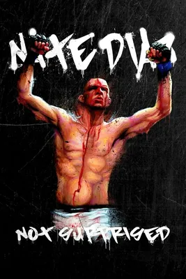 Нэйт Диас – нападающий или борец: узнайте больше о боевом стиле бывшей звезды UFC – Nachedeu