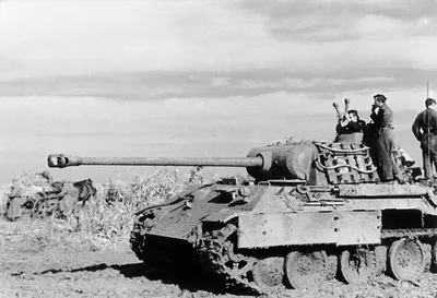 Война после СВО: немецкие танки Panther могут опять оказаться на российской  земле