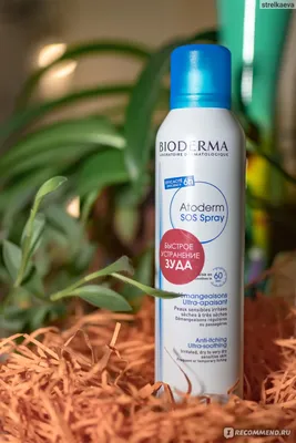 Спрей для тела Bioderma Атодерм Sos Spray - «Моя История про АД. Спрей  успокаивает раздраженную кожу через 60 секунд после нанесения и действует в  течение 6 часов. Теперь он мне просто везде