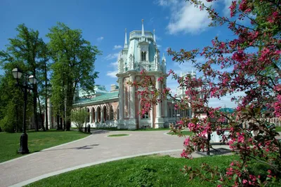 Парк Горького, Москва - «Мое место силы. Люди, которым не нравится Парк  Горького - мои личные враги (шутка). Видели пальмы в Москве? 🌴 А ведь  здесь они есть!» | отзывы