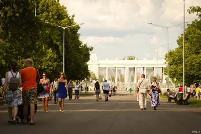 Сауна Нескучный сад. Москва, Головинское шоссе , д.13, стр.1. ⭐ Отзывы,  скидки, фото, цены, телефон