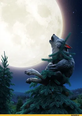 красивые картинки :: Никита Веприков :: луна :: волк :: art (арт) /  картинки, гифки, прикольные комиксы, интересные статьи по теме.