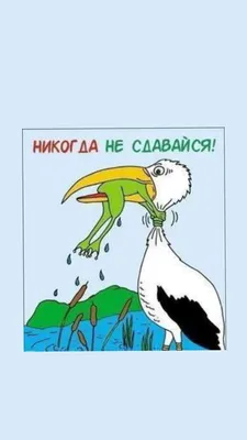 Срал в тапки. Если вас не заслуженно обидели, вернитесь и заслужите кружка  с кантом (цвет: белый + красный) | Все футболки интернет магазин футболок.  Дизайнерские футболки, футболки The Mountain, Yakuza, Liquid Blue