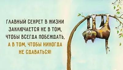 Обои на рабочий стол Ничего не ждите и вы никогда не будете разочарованны,  обои для рабочего стола, скачать обои, обои бесплатно