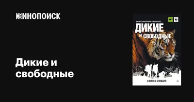 Calaméo - Дорогое Удовольствие. Сочи. Август 2018