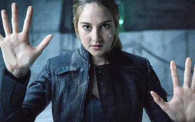 Critique Cinéma - Divergente (Нил Бургер) - The Wild Production