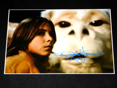 Ной Хэтэуэй подписал «Бесконечную историю» на фотографии 11x14 с надписью «Атрейу» (AutographCOA COA) | Нетронутый аукцион